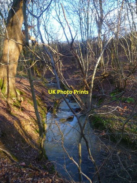 Photo 6"x4" Tributary of Boldings Brook in woodland by bridleway Kingsfold\/TQ1636 c2016