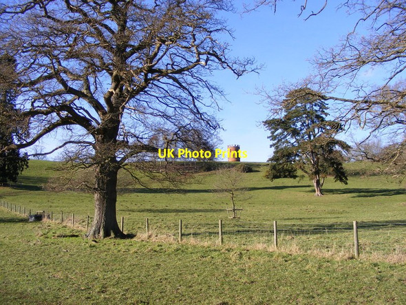 Photo 6"x4" Folly Scene Worfield c2016