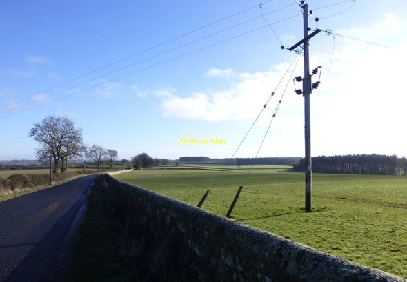 Photo 6"x4" Electricity pole in pasture Harnham\/NZ0780 c2016