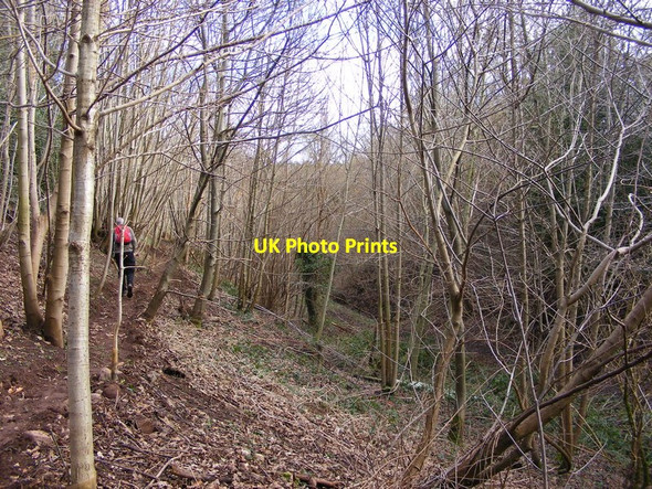 Photo 6"x4" Chesterton Path Chesterton\/SO7897 c2016