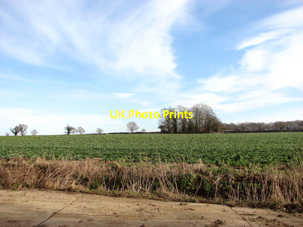 Photo 6"x4" Fields east of Chapel Lane Shotesham c2016