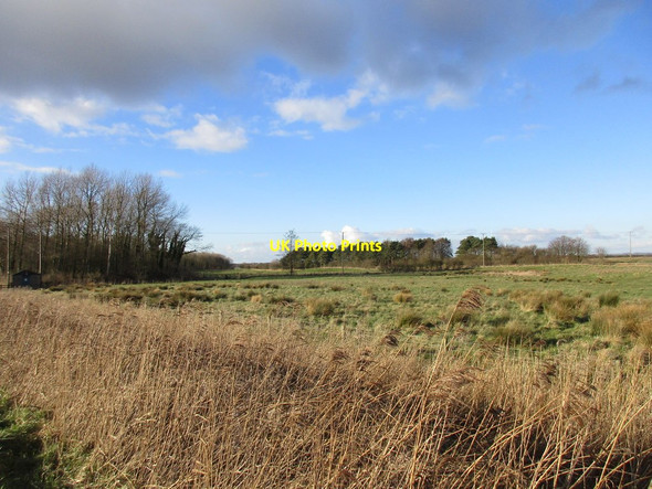 Photo 6"x4" Carrs near Barff Hill Aike c2016