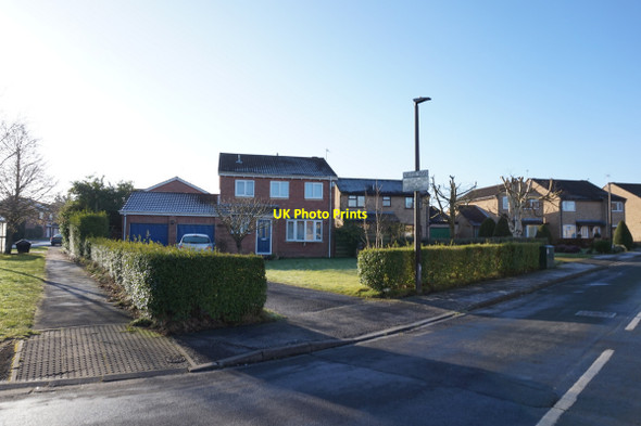Photo 6"x4" Nevis Way, Woodthorpe, York West Field\/SE5650 c2016