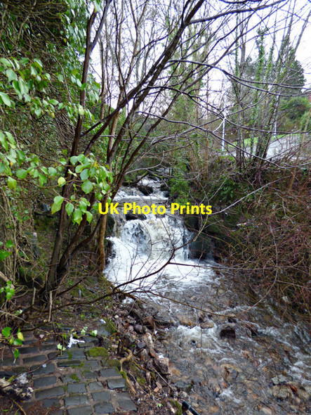 Photo 6"x4" The Glen Burn Port Glasgow c2016 P1
