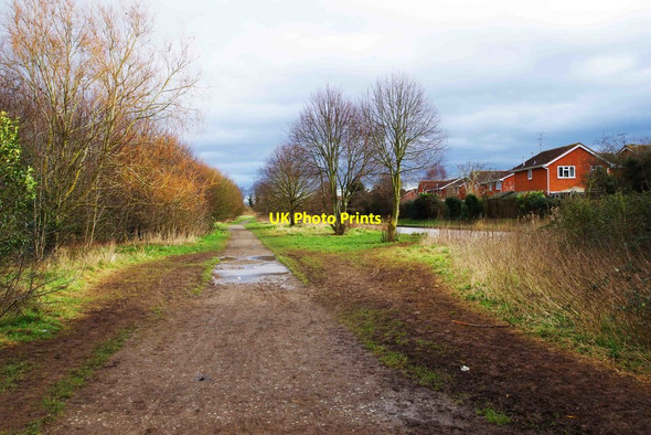 Photo 6"x4" Footpath adjacent to Worcester & Birmingham Canal, Perdiswell, Worcester Worcester c2016