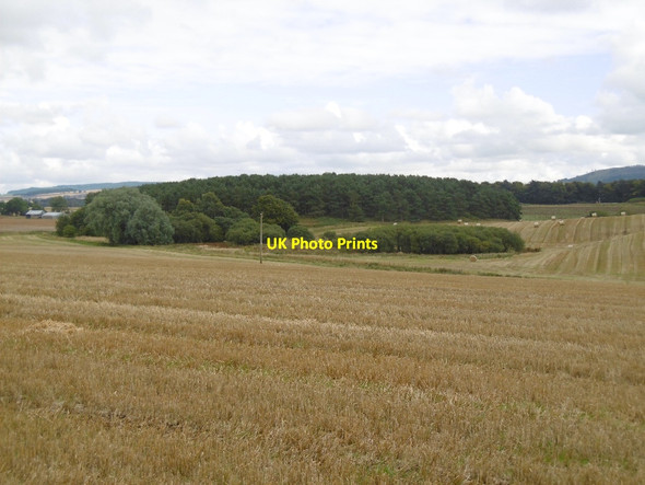 Photo 6"x4" Stubble, Powmyre Roundyhill c2015