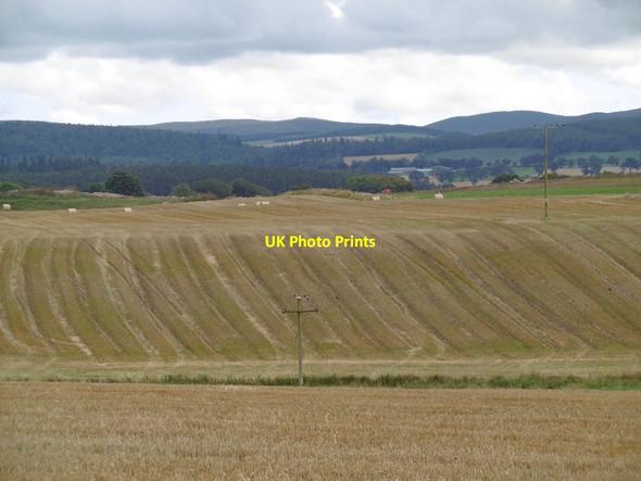 Photo 6"x4" Strathmore arable farming Roundyhill c2015