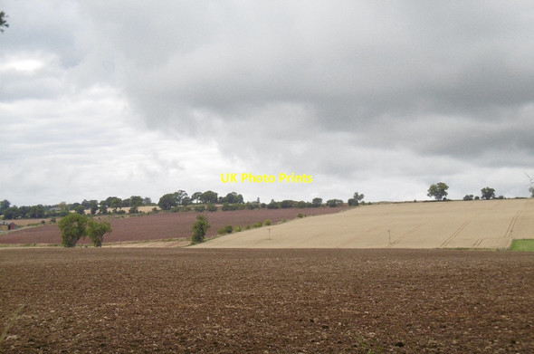 Photo 6"x4" Arable land, Strathmore Westmuir\/NO3652 c2015