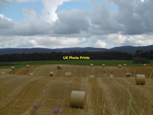 Photo 6"x4" Round bales, Powmyre Roundyhill c2015