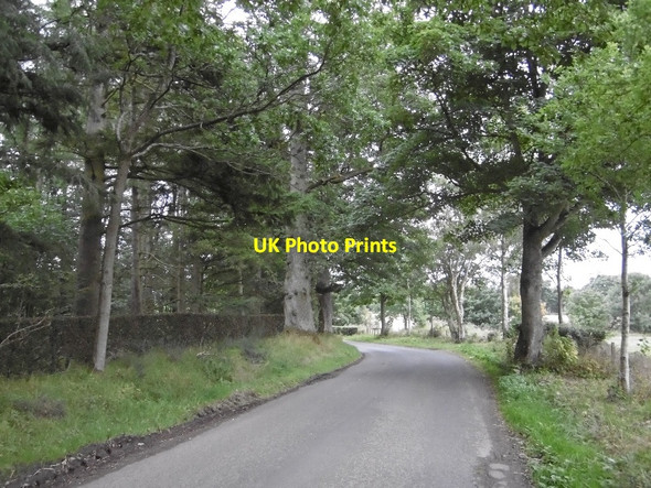 Photo 6"x4" Road, Ruthven Ruthven\/NO2848 c2015
