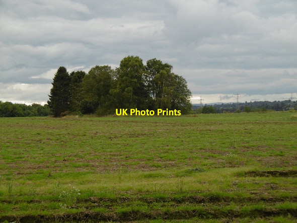 Photo 6"x4" Field, Ruthven Ruthven\/NO2848 c2015