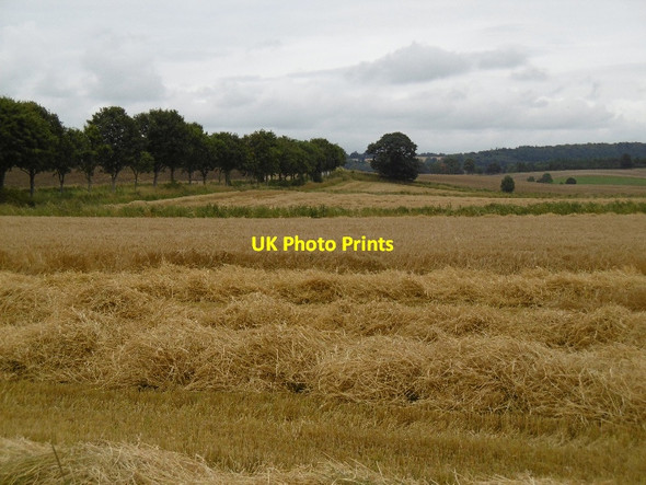 Photo 6"x4" Harvest, Ruthven Ruthven\/NO2848 c2015 P1