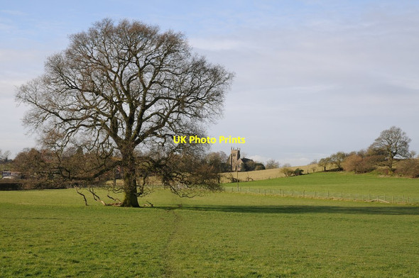 Photo 6"x4" Oak tree and Wychbold church Astwood\/SO9365 c2016
