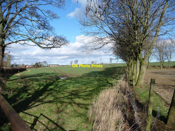 Photo 6"x4" Field entrance shaded by trees Sutton Howgrave c2016