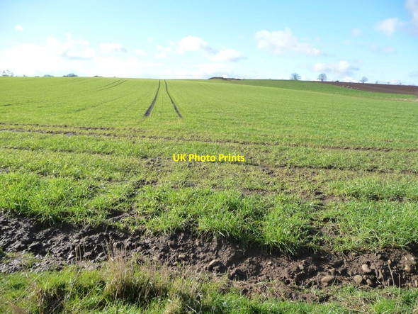 Photo 6"x4" Ruffy Hills farmland Sutton Howgrave c2016