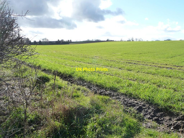 Photo 6"x4" Looking south across Ruffy Hills Sutton Howgrave c2016