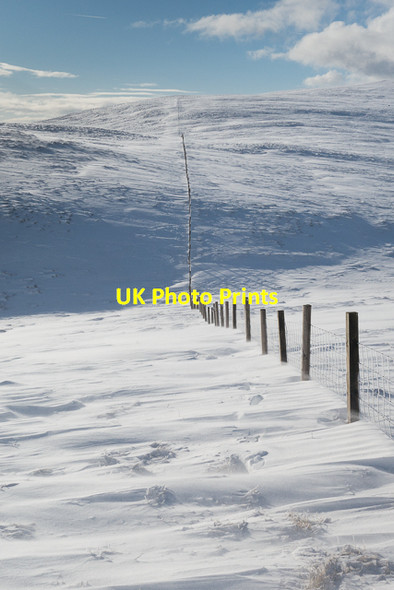 Photo 6"x4" Fence on Andrew Gannel Hill  Tillicoultry c2016