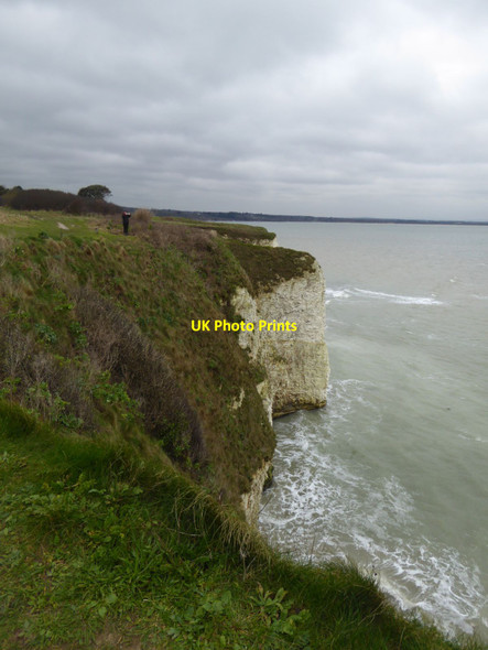 Photo 6"x4" Cliffs south of Old Harry Rocks (2) Studland c2016