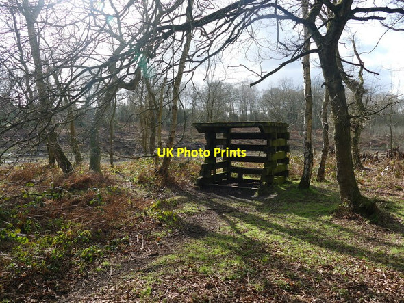 Photo 6"x4" Wooden shelter in Harlow Wood Brick-kiln End c2016