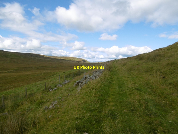 Photo 6"x4" Burnfoot to Ballochleam road Backside Burn c2015