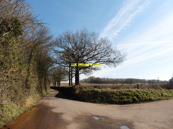 Photo 6"x4" Minor road to Thorne St Margaret White Ball c2016