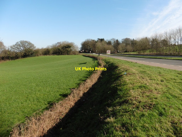 Photo 6"x4" Roadside verge on the A38, near White Ball Sampford Arundel c2016