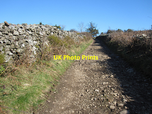 Photo 6"x4" Country Lane Inistioge c2016