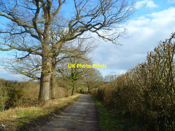 Photo 6"x4" Bridleway going east from Rusper Road Horsham\/TQ1731 c2016