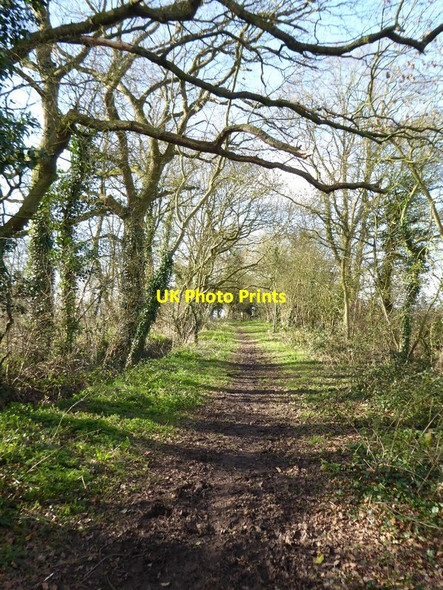 Photo 6"x4" Donkey Lane Earl's Croome c2016