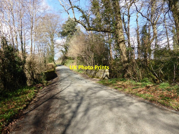 Photo 6"x4" The road to Canonteign from the B3193 Hennock c2016
