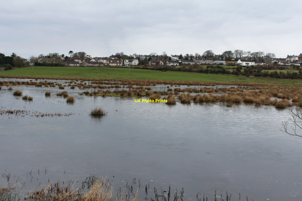 Photo 6"x4" Wetland at Wigtown Wigtown c2016
