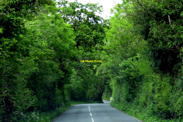 Photo 6"x4" The road to Wigglesworth Forest Becks c2015 P1