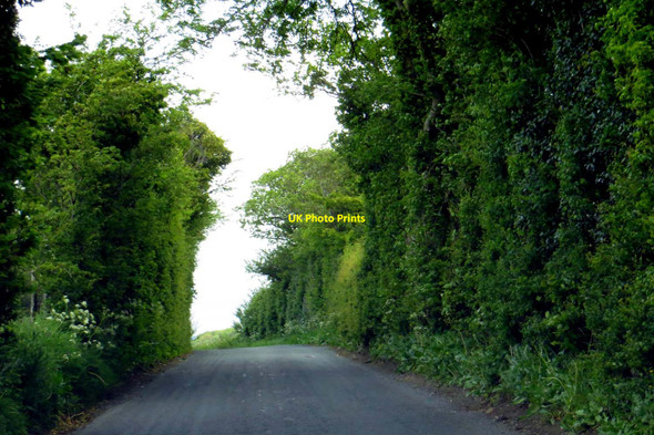 Photo 6"x4" The road to Wigglesworth Grunsagill c2015