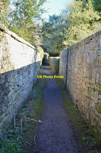 Photo 6"x4" Narrow path, Warkworth Warkworth\/NU2406 c2016