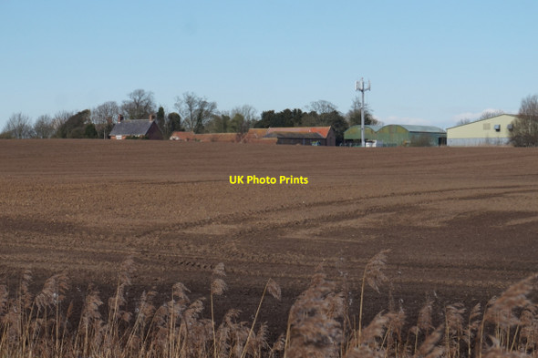 Photo 6"x4" Hall Garth Farm near Leven Leven\/TA1045 c2016