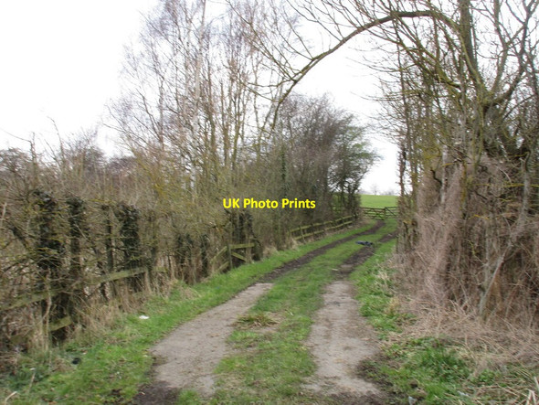 Photo 6"x4" Field entrance near Hooton Common Farm Swinton\/SK4598 c2016