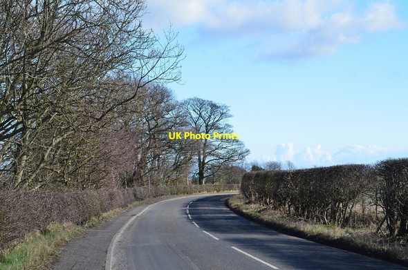Photo 6"x4" Road to Boulmer Longhoughton c2016