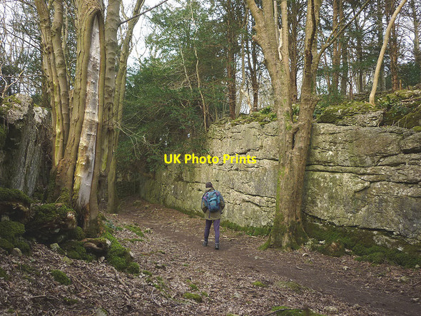 Photo 6"x4" Permissive footpath through The Trough Red Bridge c2016
