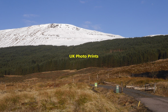 Photo 6"x4" Logging road, Glen Lochy Clifton\/NN3230 c2016