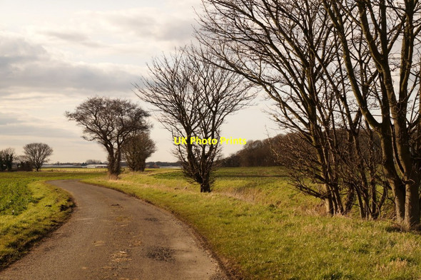 Photo 6"x4" Green Lane, Sollom Sollom c2016