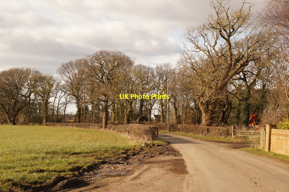 Photo 6"x4" Moss Side Lane, Mere Brow Mere Brow c2016