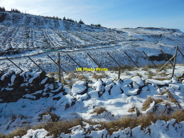 Photo 6"x4" Fences near the Doughnot Hill Milton\/NS4274 c2016