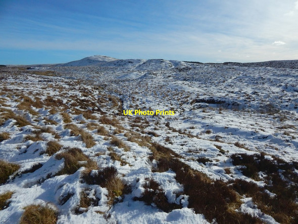 Photo 6"x4" The Roughting Burn Meikle White Hill c2016