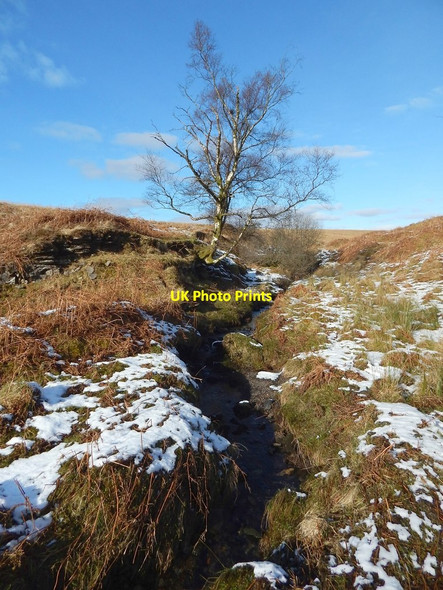 Photo 6"x4" The Spouts Burn Bonhill c2016