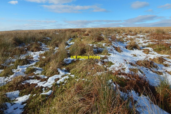 Photo 6"x4" Old enclosure beside the Spouts Burn Bonhill c2016