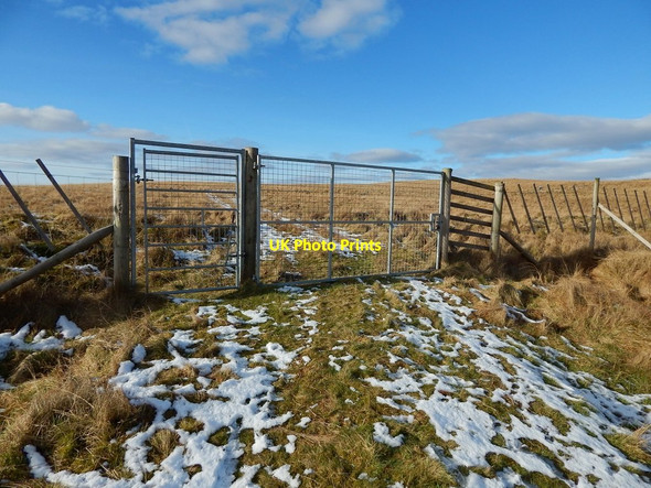 Photo 6"x4" Gate at edge of Lang Craigs Woodland Dumbarton c2016