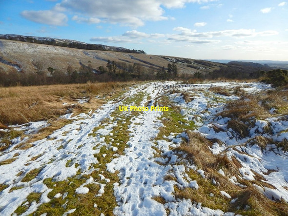Photo 6"x4" Track near Square Wood Dumbarton c2016
