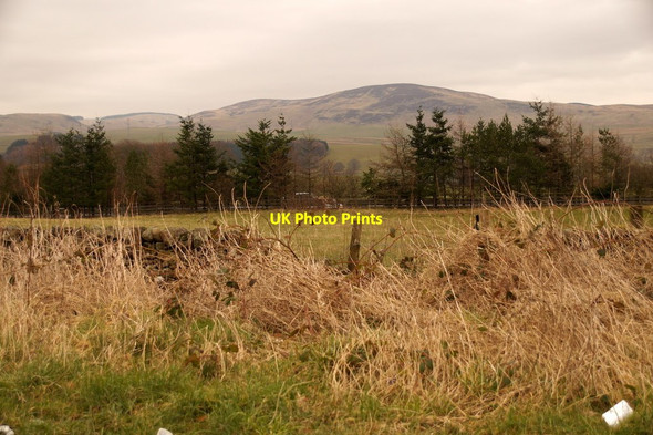Photo 6"x4" Fields south of Beattock Mid Murthat c2016