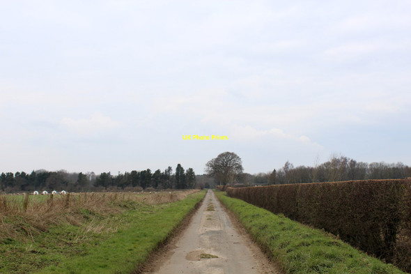 Photo 6"x4" Access Road across Raskelf Moor Raskelf c2016