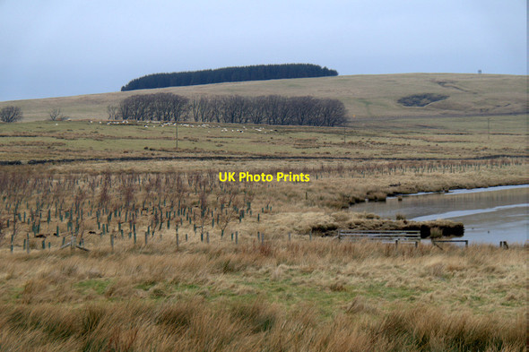 Photo 6"x4" West end of Harperrig Reservoir Little Vantage c2016